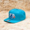 MITCHELL & NESS Wool Solid Charlotte Hornets